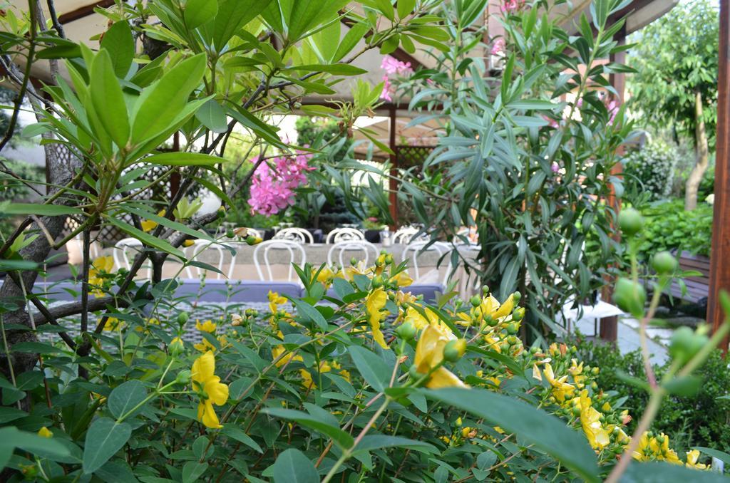 Albergo Giardino 케르노비오 외부 사진